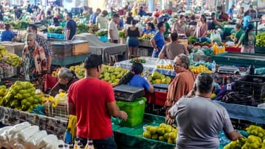 MEI: último prazo para entrega da Declaração Anual Simplificada; saiba mais