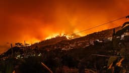 Ondas de calor e incêndios ameaçam avanços na qualidade do ar, alerta ONU