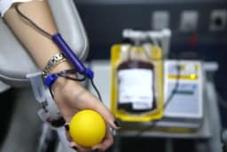 Veja novas regras para doação de sangue no Brasil