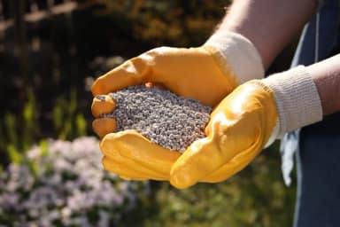 Programa de fertilizantes vai à sanção sem valores definidos