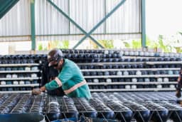 Indústria recua 0,2% em maio após quatro altas seguidas