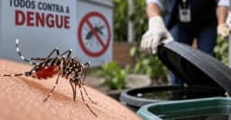 Dengue em São Paulo: estado registra 58,6 mil casos e 42 mortes