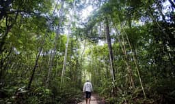Desmatamento na Amazônia e no Cerrado atinge menor nível histórico, aponta Inpe