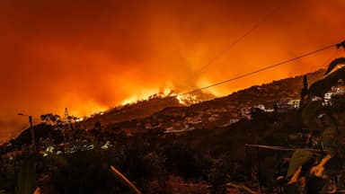 Organização Meteorológica Mundial alerta para 100 mil mortes anuais por fumaça