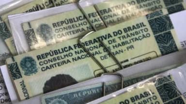 Projeto que pune abandono de animais com perda da CNH vai ao Senado