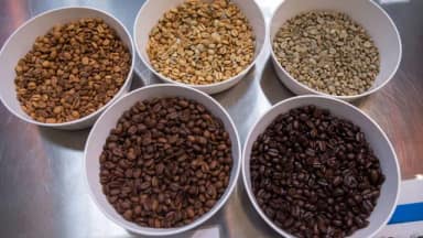 Companhia Nacional de Abastecimento prevê 67,6 milhões de sacas de café em 2026
