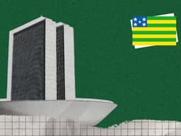 Em meio a 254 candidatos, 15 deputados federais de GO tentam reeleição