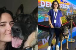 Veterinária morre após ser mordida no pescoço por cachorro no Senado Federal
