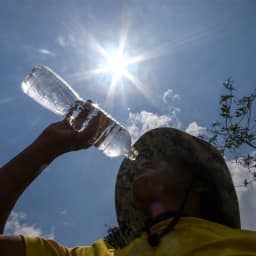 El Niño e os refúgios do calor