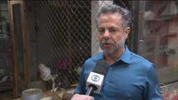 Toffoli suspende campanha digital do Wilson Grassi, candidato à Presidência da República