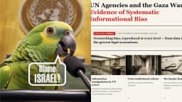 Governo Netanyahu chama críticos de 'papagaios' e acusa ONU de 'viés sistemático' contra Israel; VÍDEO