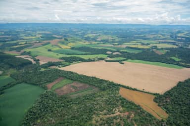 MapBiomas: fragmentos de vegetação nativa sobem 45% desde 1986 e somam 3,41 milhões