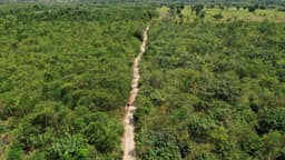 Desmatamento na Amazônia e no Cerrado cai ao menor nível da série histórica, aponta Inpe