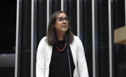 Duda Salabert vai depor na Polícia Civil sobre agressões sofridas em fiscalização de mineração ilegal