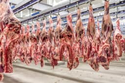 URGENTE: União Europeia suspende importação de carnes, ovos e mel do Brasil