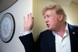 Ator e influenciadora brasileiros pedem ajuda a Trump após vitória de Lula