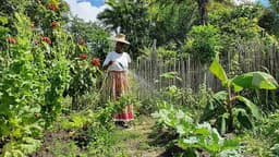 Câmara aprova a Política Nacional de Agroecologia e Produção Orgânica