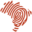 Repórter Brasil